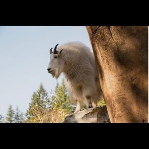 Meet your Posher, Lance